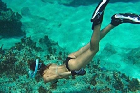 Bali Blue Lagoon Snorkeling- Tegenung Waterfall- Lunch- Transfers
