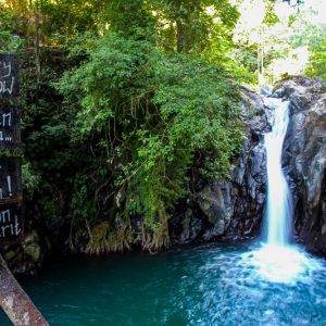 All Inclusive : Jumping Sliding at Aling- Aling Waterfall – Handara Gate – Lunch
