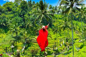 Ceking,Rice,Terrace,(tegalalang,Rice,Terrace),,Ubud,,Bali,,Indonesia,,October
